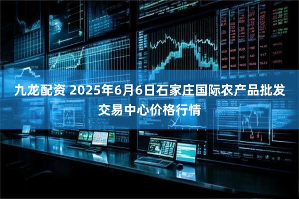 九龙配资 2025年6月6日石家庄国际农产品批发交易中心价格行情