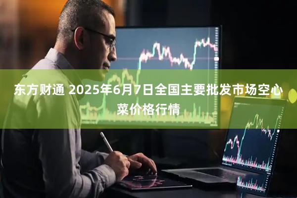 东方财通 2025年6月7日全国主要批发市场空心菜价格行情