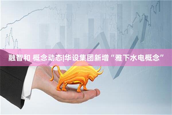 融智和 概念动态|华设集团新增“雅下水电概念”
