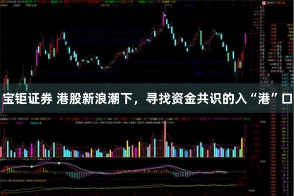 宝钜证券 港股新浪潮下，寻找资金共识的入“港”口