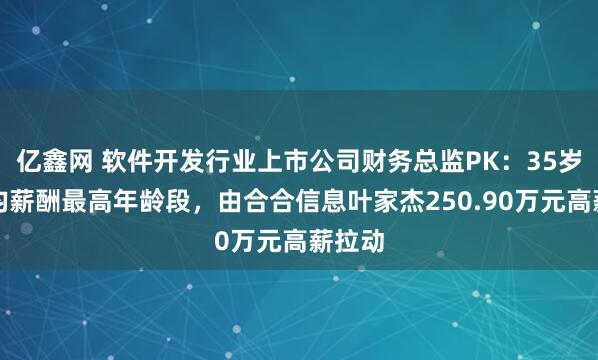 亿鑫网 软件开发行业上市公司财务总监PK：35岁为平均薪酬最高年龄段，由合合信息叶家杰250.90万元高薪拉动