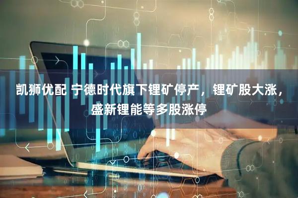 凯狮优配 宁德时代旗下锂矿停产，锂矿股大涨，盛新锂能等多股涨停