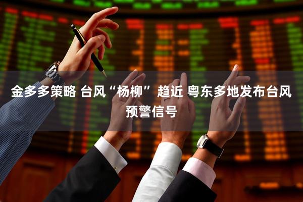 金多多策略 台风“杨柳” 趋近 粤东多地发布台风预警信号