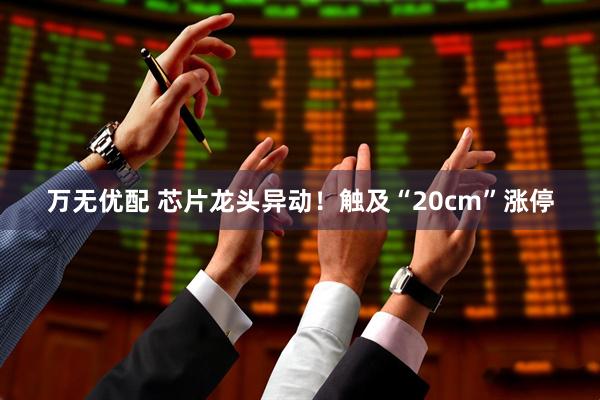 万无优配 芯片龙头异动！触及“20cm”涨停
