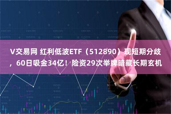 V交易网 红利低波ETF（512890）现短期分歧，60日吸金34亿！险资29次举牌暗藏长期玄机