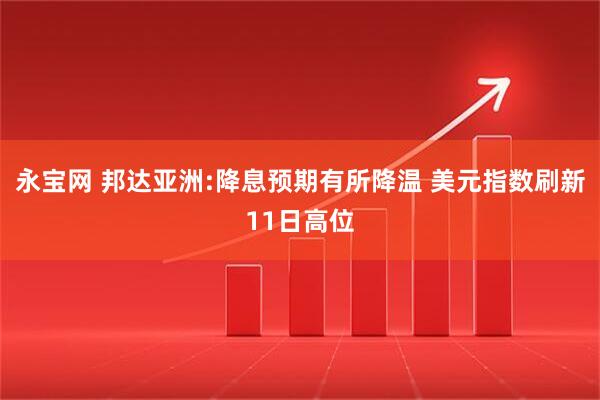 永宝网 邦达亚洲:降息预期有所降温 美元指数刷新11日高位